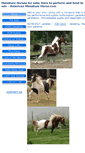 Mobile Screenshot of americanminiaturehorse.com
